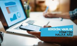 Birikim Varlık Yönetim Halka Arz Detayları