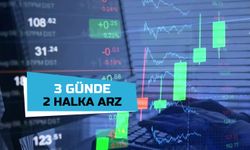 3 günde 772 Milyon Liralık 2 Halka Arz