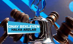 Onay Bekleyen Halka Arzlar Ve Detayları