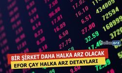 EFOR ÇAY Halka Arz Edecek