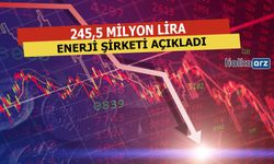 245,5 Milyon TL Kar Payı Dağıtacak