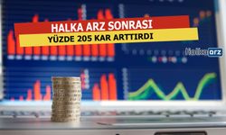 Halka Arz Sonrası Yüzde 205 Kar Arttırdı