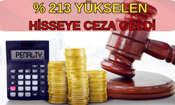 Yüzde 213 Yükselen Hisseye Ceza Geldi