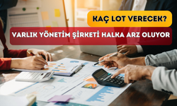 Varlık Yönetim Şirketi Halka Arz Edecek