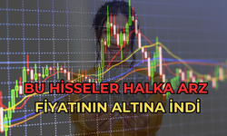 Bu Hisseler Halka Arz Fiyatının Altına İndi