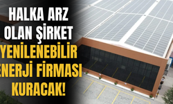 Halka Arz Olan Şirket Yenilenebilir Enerji Firması Kuracağını Açıkladı