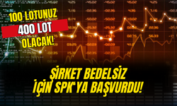 100 Lotunuz 400 Lot Olacak! Şirket Bedelsiz İçin SPK'ya Başvurdu