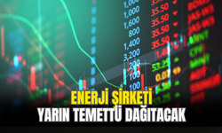 Enerji Şirketi Yarın Yatırımcılarına Temettü Ödemesi Yapacak