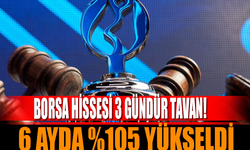 6 Ayda %105 Yükselen Hisse 3 Gündür Tavan Yapıyor