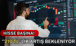 Hisse Başına ''210'' TL'lik Artış Bekleniyor!