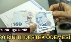 30 Bin TL Destek Ödemesi Yürürlüğe Girdi!