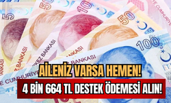 Ailenizde Varsa 4 bin 664 TL Destek Ödemesini Hemen Alabilirsiniz!