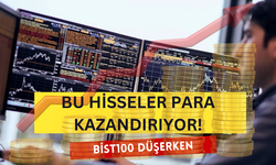 Borsa Düşerken Bu Hisseler Yatırımcılarına Para Kazandırmaya Devam Ediyor!