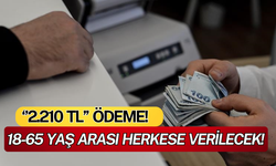 2 Bin 210 TL Alabilirsiniz! 18-65 Yaş Arası Herkese Verilecek