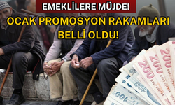 Emeklilere Ödenecek Promosyon Bedelleri Belli Oldu!