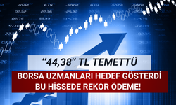 Borsa Uzmanları İşaret Etti: Hisse Başına ''44,38'' TL Temettü!