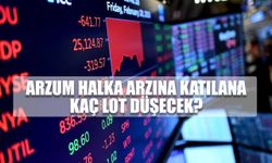 Bireysel Yatırımcıya Arzum Halka Arzında Kaç Lot Düşecek