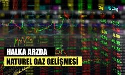 Halka Arzda Naturelgaz Gelişmesi