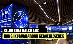 Selva Gıda Halka Arzı İçin Hangi Aracı Kurumlar Kullanılabilecek