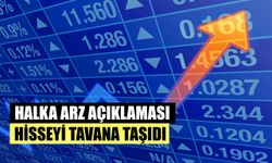 Halka Arz Haberi, Hisseyi Tavana Taşıdı