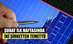 Şubat Ayında İlk Hafta 2 Temettü Birden