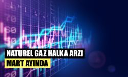 Naturel Gaz Halka Arzı Mart Ayında Bekleniyor