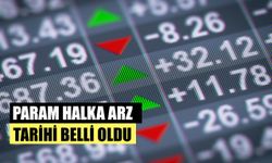 Elektronik Para Şirketinin Halka Arz Tarihi Belli Oldu