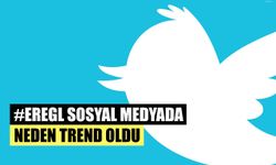 EREGL  Sosyal Medyada Neden Trend Oldu