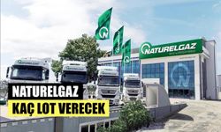 Naturelgaz Halka Arzında Kaç Lot Verecek