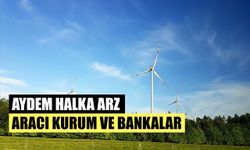 Aydem Halka Arz Aracı Kurum ve Bankalar