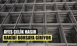 Ayes Çelik Hasır’ın Rakibi Borsaya Giriyor