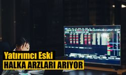 Yatırımcı Eski Halka Arzları Arıyor
