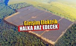 Girişim Elektrik Halka Arz Edecek