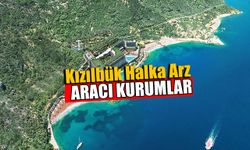 Kızılbük Halka Arz Aracı Kurum ve Bankalar