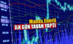 Manas Enerji İlk Gün Tavan Fiyat İle İşlem Görmeye Başladı