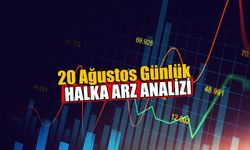 20 Ağustos Halka Arz Analizi