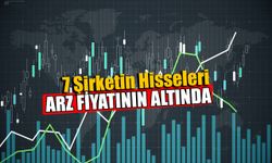 29 Halka Arzdan 7’si Halka Arz Fiyatının Altında