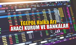 EGEPOL Hastanesi Halka Arz Hangi Bankalardan İşlem Yapılacak