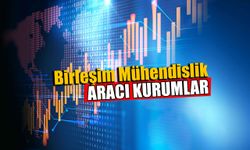 Birleşim Mühendislik Halka Arz Aracı Kurum ve Bankalar