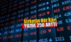 Şirketin Net Karı Yüzde 256 Arttı