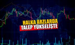 Halka Arzlara Talep Tekrar Yükselişte