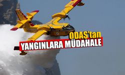 Odaş’tan Orman Yangınlarına Müdahale