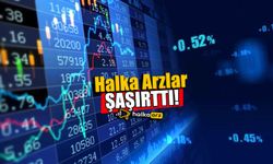 Halka Arzlar Katılımcı Sayısı İle Şaşırttı