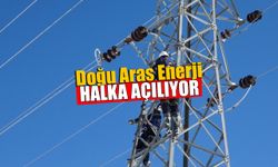 Enerji Dağıtım Şirketi Doğu Aras Halka Arz Edecek