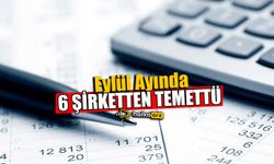 Eylül Ayında 6 Şirket Temettü Dağıtacak