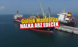 Güllük Mandalya Halka Arz Edecek