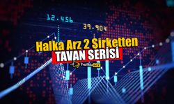 Halka Arzlarda 2 Şirketten Tavan Serisi