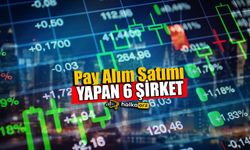 Pay Alım Satımı Gerçekleştiren 6 Şirket