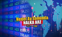 Şirketin Hedefi Ay Sonuna Kadar Halka Arz