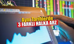 Aynı Tarihlerde 3 Halka Arz #HEDEF #GLCVY #ANGEN